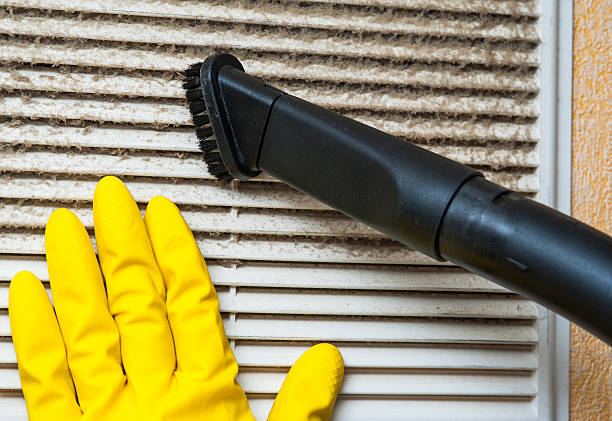 Best Affordable Duct Cleaning Services  in Lemon Hill, CA
